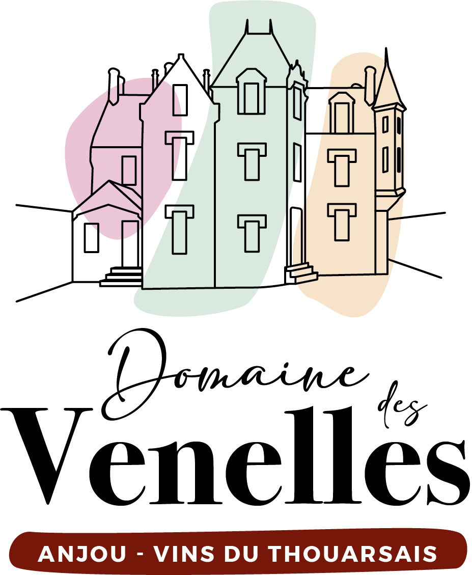 logo-c-v